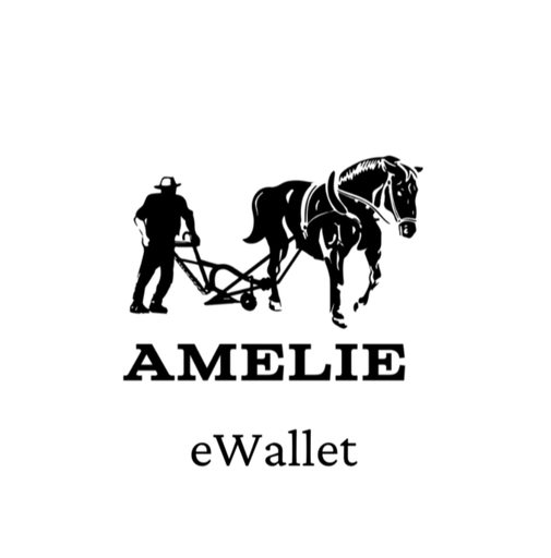 eWallet opwaarderen